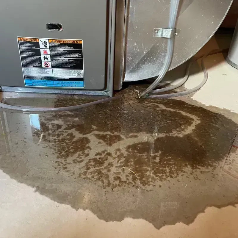 Appliance Leak Cleanup in Summit, IL